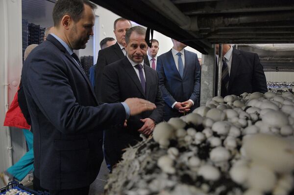 Культурная столица, спасенные ценности и заводы: Михаил Бабич посетил Брест - Sputnik Беларусь