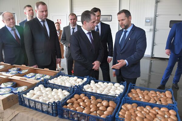 Культурная столица, спасенные ценности и заводы: Михаил Бабич посетил Брест - Sputnik Беларусь