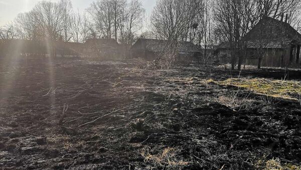 Женщина погибла во время выжигания сухой травы - Sputnik Беларусь