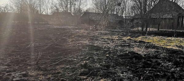 Женщина погибла во время выжигания сухой травы Женщина погибла во время выжигания сухой травы - Sputnik Беларусь