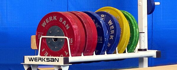 Блины для штанги, архивное фото - Sputnik Беларусь