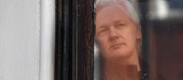 Основатель Wikileaks Джулиан Ассанж - Sputnik Беларусь