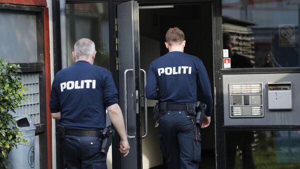 Полиция в Дании, архивное фото - Sputnik Беларусь