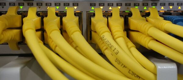 Сетевые кабели и свич, архивное фото - Sputnik Беларусь