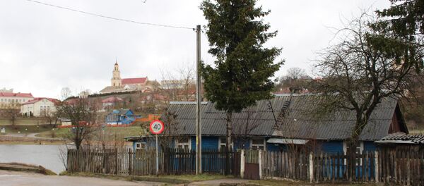Небольшой синий домик по улице Счастного, 2 в Гродно стоит практически на самом берегу Немана - Sputnik Беларусь