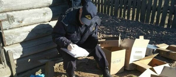  В Борисовском районе обнаружены человеческие останки - Sputnik Беларусь