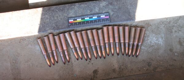 Найденные патроны Найденные патроны - Sputnik Беларусь