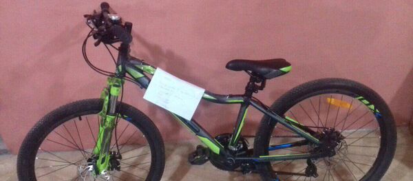 Похищенный велосипед - Sputnik Беларусь