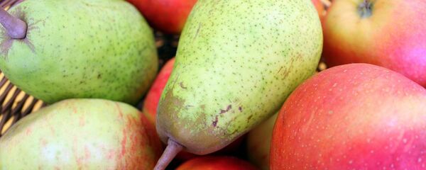 Яблоки и груши, архивное фото - Sputnik Беларусь