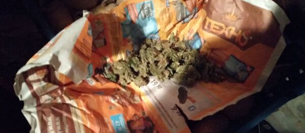 Марихуана - Sputnik Беларусь