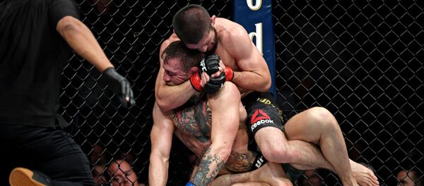 Бой между Конором Макгрегором и Хабибом Нурмагомедовым - Sputnik Беларусь