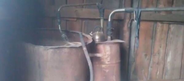 Полтонны самогонной браги конфисковала милиция у жителя Докшицкого района - Sputnik Беларусь