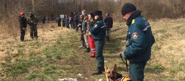 Поисковая операция в Каменецком районе Брестской области, где ищут пропавшего двухлетнего мальчика - Sputnik Беларусь