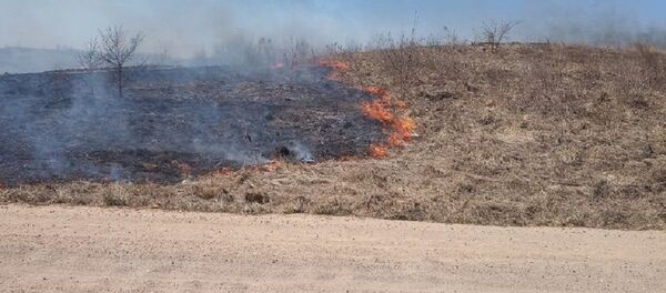 Поджигателя сухой травы задержали сельчане под Витебском - Sputnik Беларусь