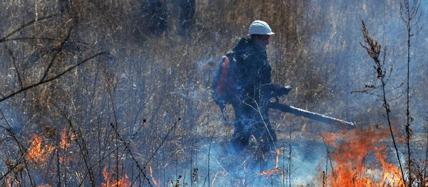 Тушэнне лясных пажараў - Sputnik Беларусь