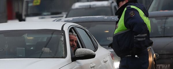 Сотрудник ДПС разговаривает с водителем автомобиля - Sputnik Беларусь