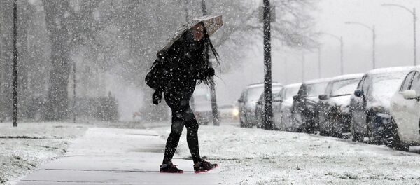 Снег в Иллинойсе Снег в Иллинойсе - Sputnik Беларусь