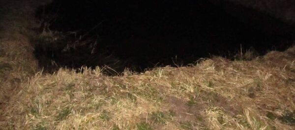 Пятилетний мальчик утонул в Витебске в водоеме рядом с домом - Sputnik Беларусь