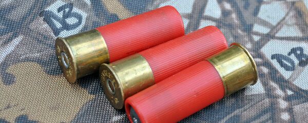 Охотничьи патроны, архивное фото - Sputnik Беларусь