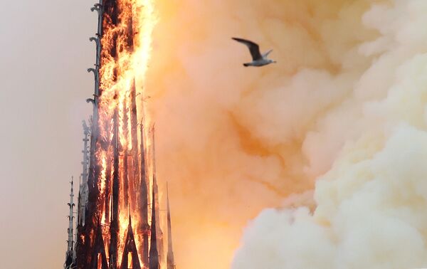 Пламя от пожара в соборе Парижской Богоматери - Sputnik Беларусь