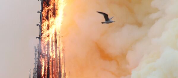 Пламя от пожара в соборе Парижской Богоматери Пламя от пожара в соборе Парижской Богоматери - Sputnik Беларусь