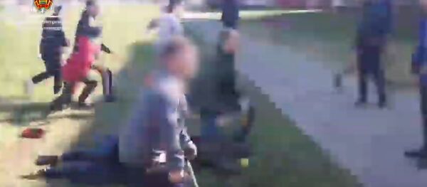 МВД показало, как разнимали драку хоккейных фанатов на окраине Гомеля - Sputnik Беларусь