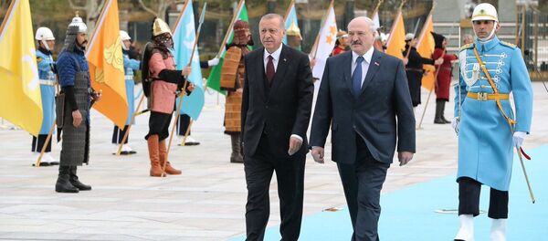 Всадники и голубая дорожка: Лукашенко и Эрдоган встретились в Анкаре - Sputnik Беларусь