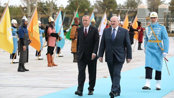 Всадники и голубая дорожка: Лукашенко и Эрдоган встретились в Анкаре - Sputnik Беларусь