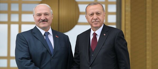 Президенты Беларуси и Турции - Sputnik Беларусь