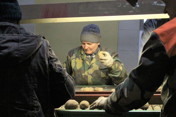 Не резать семена и правильно выбрать сорт: наивные вопросы о картошке Не резать семена и правильно выбрать сорт: наивные вопросы о картошке - Sputnik Беларусь