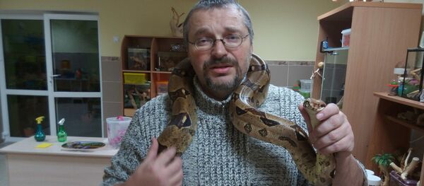 чем бьют лошадей в цирке. . чем бьют лошадей в цирке фото. чем бьют лошадей в цирке-. картинка чем бьют лошадей в цирке. картинка . Цирк — это незабываемое зрелище! Кто не испытывал чувства восторга, когда следил за виртуозной работой вольтижеров! Вот на арене появляется всадник на вороном коне, и зрители, затаив дыхание, следят за каждым его движением. Он на полном скаку спрыгивает с лошади, отталкивается от манежа, перевертывается в воздухе и снова оказывается в седле.