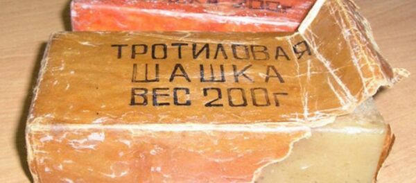 Житель Минского района при реконструкции дома обнаружил сверток с тротилом - Sputnik Беларусь