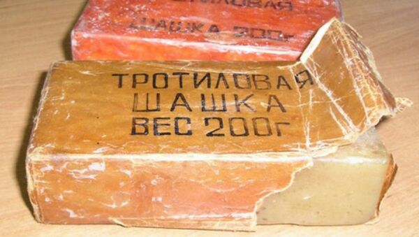 Житель Минского района при реконструкции дома обнаружил сверток с тротилом - Sputnik Беларусь