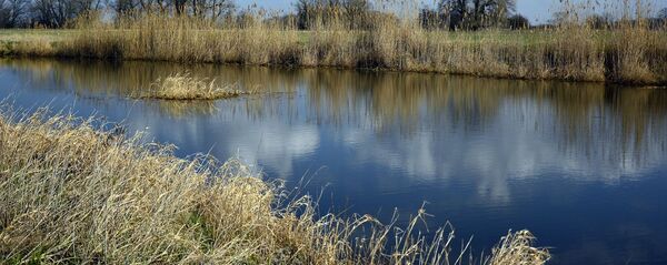 Берег реки - Sputnik Беларусь