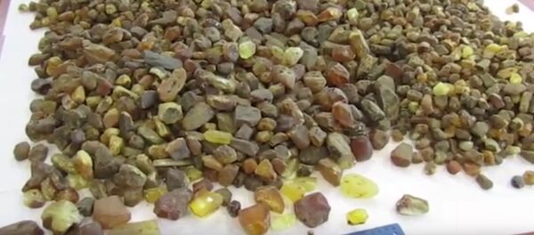 Гродненские таможенники обнаружили в порогах авто 23 кг янтаря, видео Гродненские таможенники обнаружили в порогах авто 23 кг янтаря, видео - Sputnik Беларусь