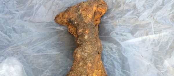 Сякера X стагоддзя, знойдзеная ў Бабруйску - Sputnik Беларусь