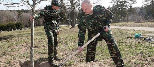 Александр Лукашенко посадил деревья на Линии Сталина во время субботника Александр Лукашенко посадил деревья на Линии Сталина во время субботника - Sputnik Беларусь