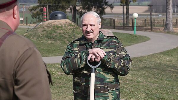 Лукашенко прокомментировал дебаты Порошенко и Зеленского - Sputnik Беларусь