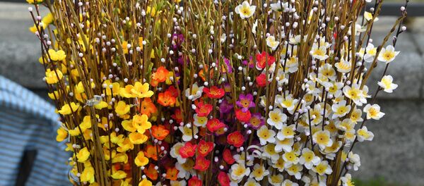 Вербное воскресенье-2019 - Sputnik Беларусь