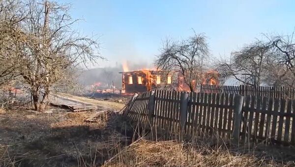 Видеофакт: МЧС показало жуткие последствия от сжигания сухой травы - Sputnik Беларусь