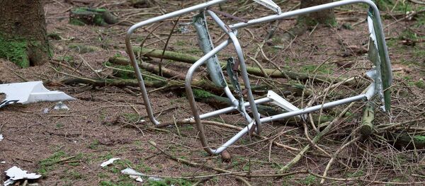 Мусор в лесу - Sputnik Беларусь