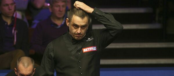 Пятикратный чемпион мира по снукеру Ронни О'Салливан  - Sputnik Беларусь