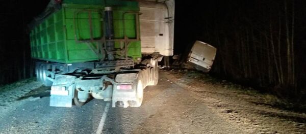 В Сенненском районе из-за зверя на дороге столкнулись Scania и Citroen - Sputnik Беларусь