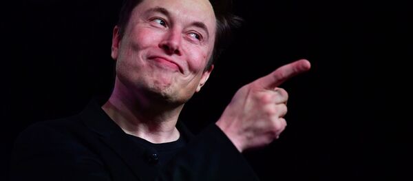 Основатель Tesla Илон Маск Основатель Tesla Илон Маск - Sputnik Беларусь
