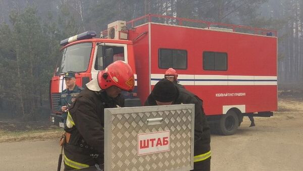 Лесной пожар в Гродненском районе ликвидировало более 300 спасателей - Sputnik Беларусь