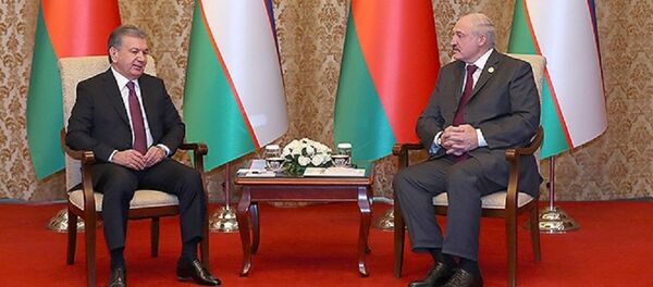 Президент Беларуси Александр Лукашенко встретился с президентом Узбекистана Шавкатом Мирзиеевым - Sputnik Беларусь