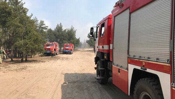 Пожарные в лесу - Sputnik Беларусь