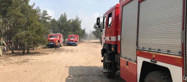 Пожарные в лесу - Sputnik Беларусь