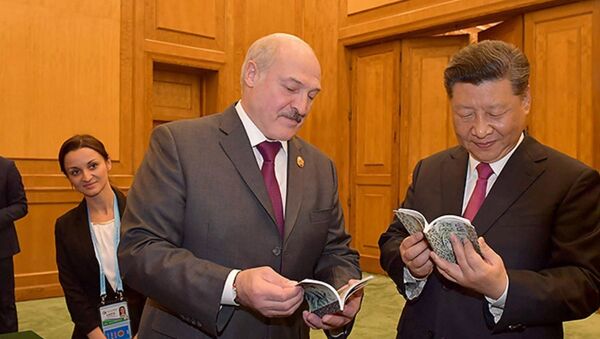 Александр Лукашенко подарил Си Цзиньпину несколько книг - Sputnik Беларусь