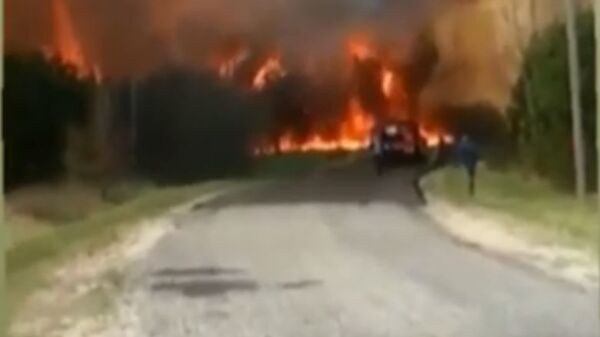 Пожар в Наровлянском районе: сгорели 300 гектаров леса  - Sputnik Беларусь